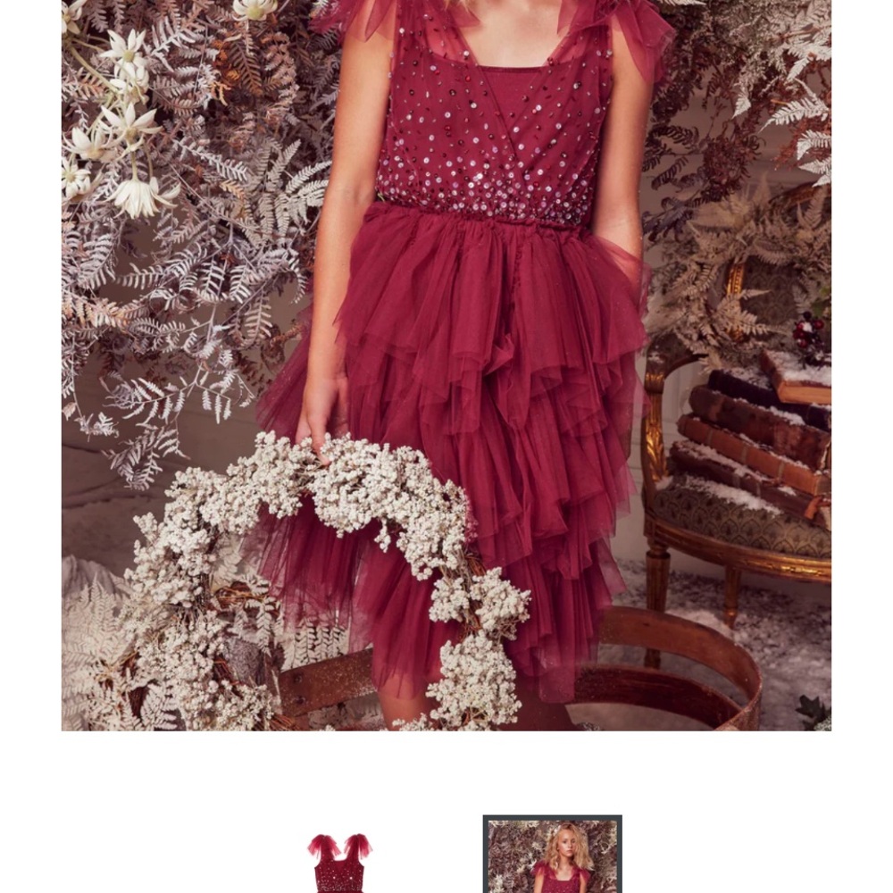 Tutu Du Monde Burgundy Tulle Dress